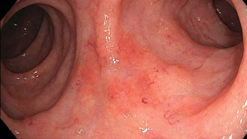 08.jpg__PID:8cddd8b6-5545-4499-9102-502b9bbc735c